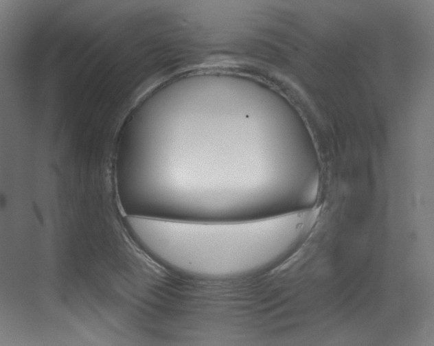 X0000073471409200607281047