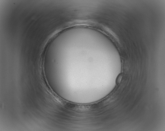 X0000073471411200607281047