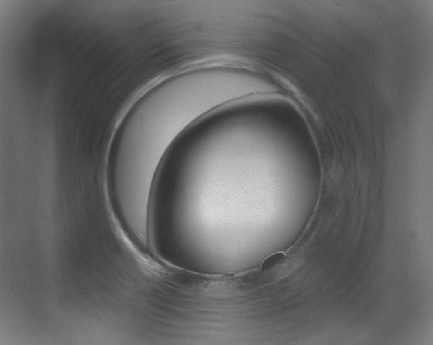 X0000073471418200607281047