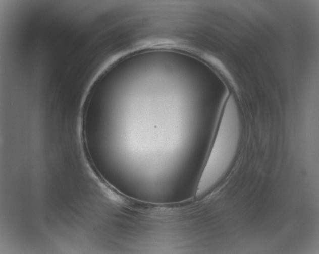 X0000073471424200607281047