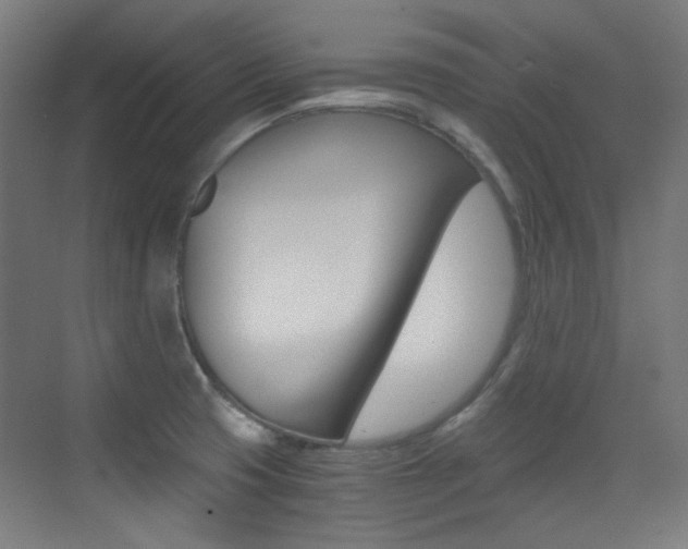 X0000073471425200607281047