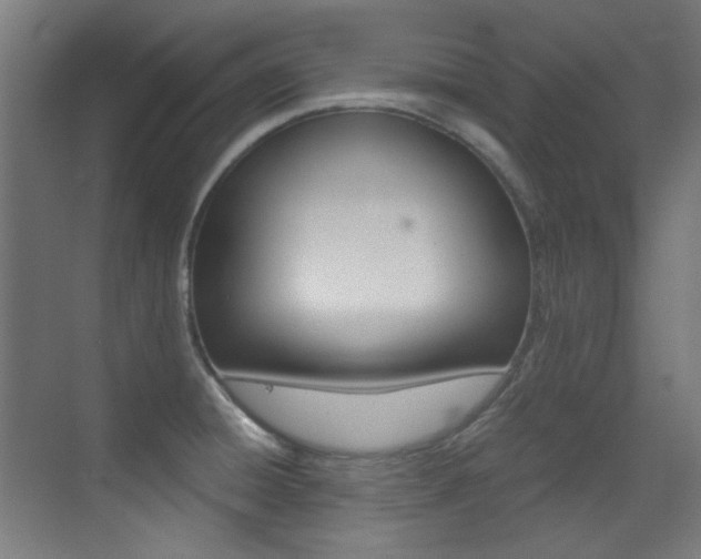 X0000073471428200607281047