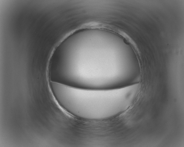 X0000073471429200607281047