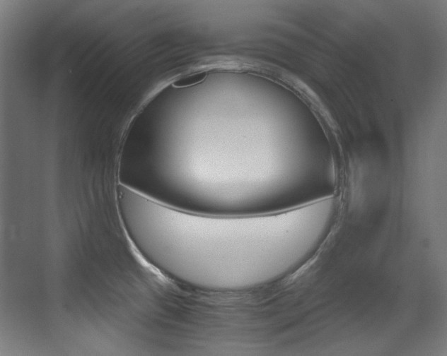 X0000073471433200607281047