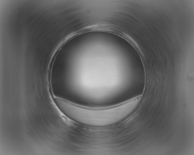 X0000073471434200607281047