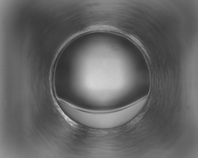 X0000073471438200607281047