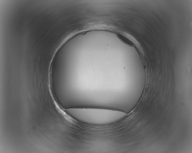 X0000073471439200607281047