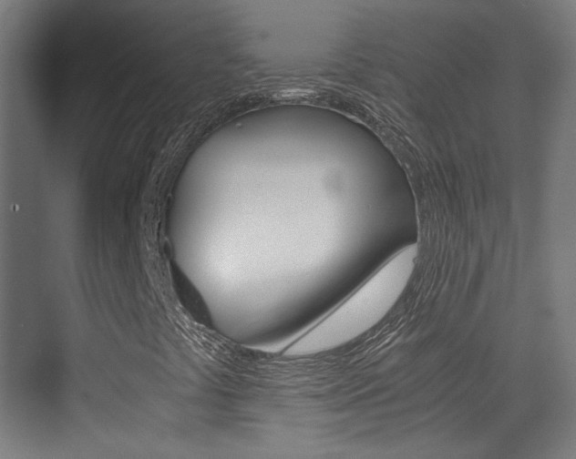X0000073471441200607281046