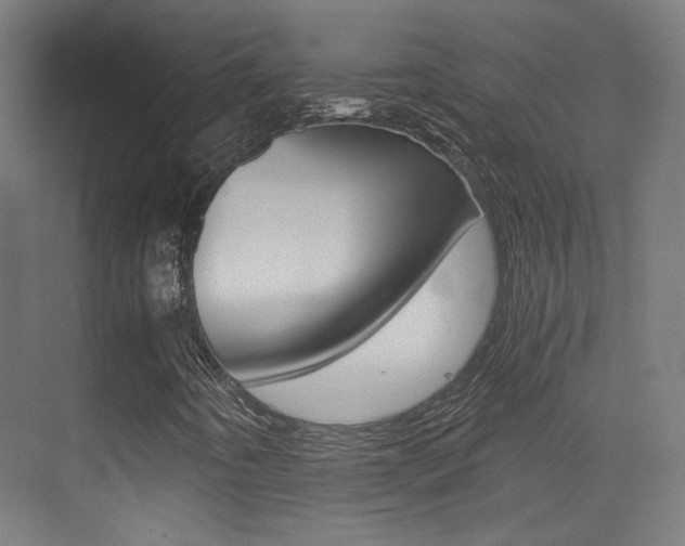 X0000073471442200607281046