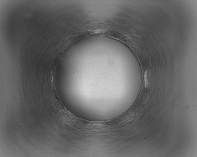 X0000073471443200607281046