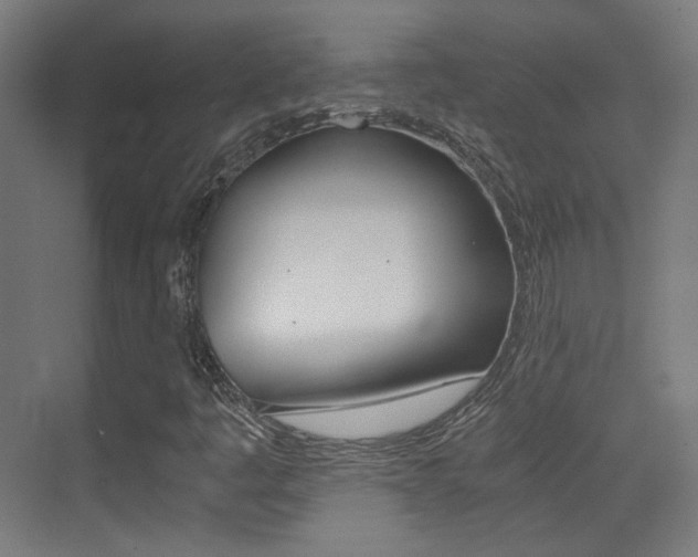 X0000073471445200607281046