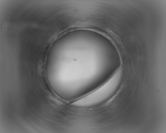 X0000073471449200607281046