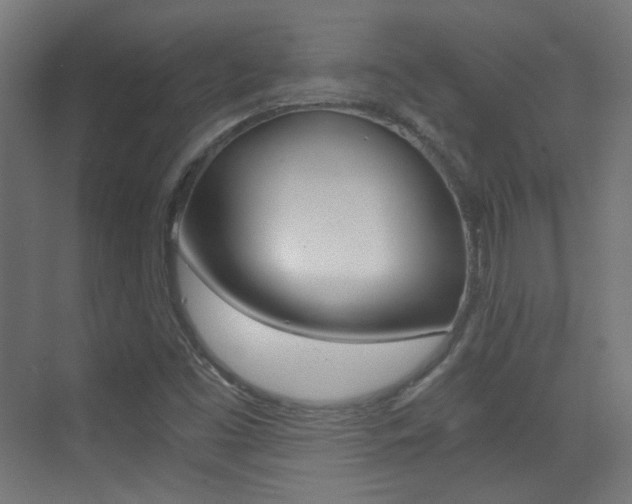 X0000073471453200607281046