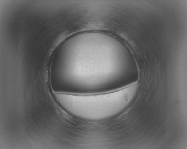 X0000073471459200607281046