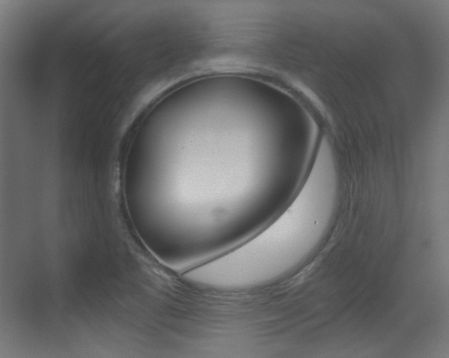 X0000073471461200607281046