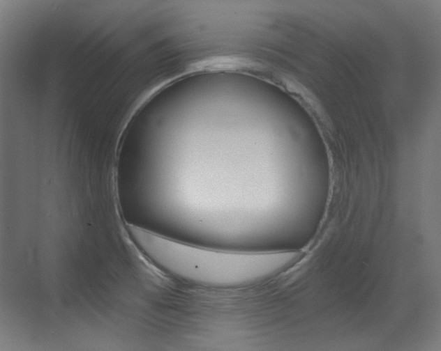 X0000073471473200607281046