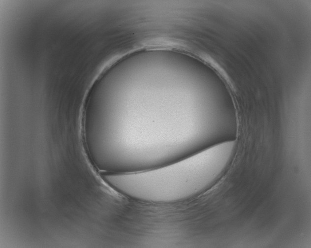 X0000073471477200607281046