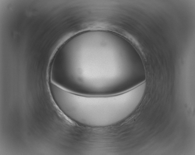 X0000073471480200607281046