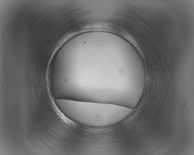 X0000073471482200607281046