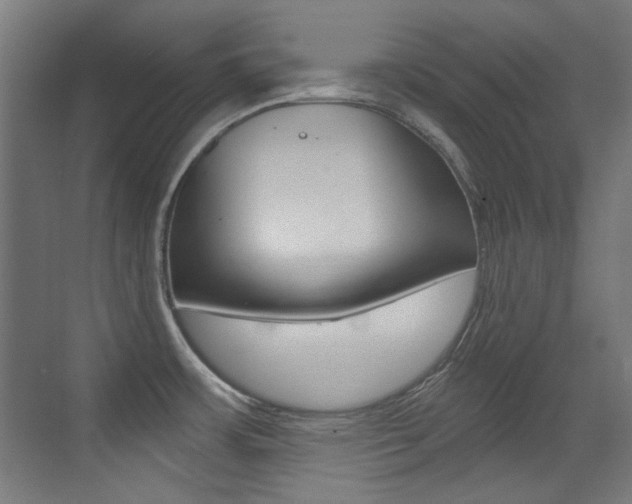 X0000073471483200607281046