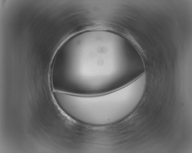 X0000073471484200607281046