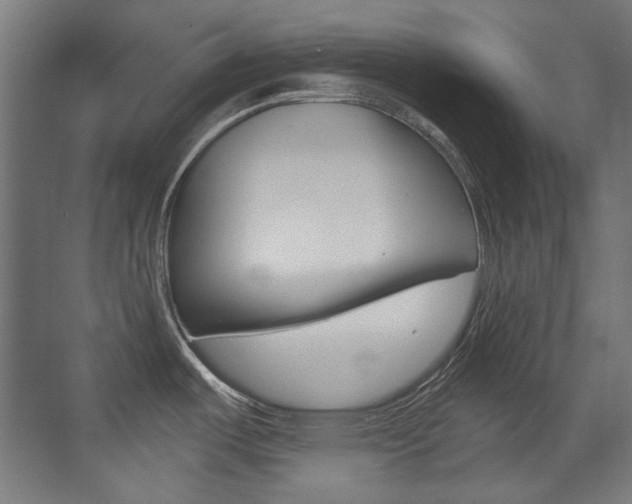 X0000073471487200607281046