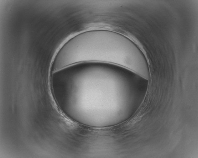 X0000073471488200607281046