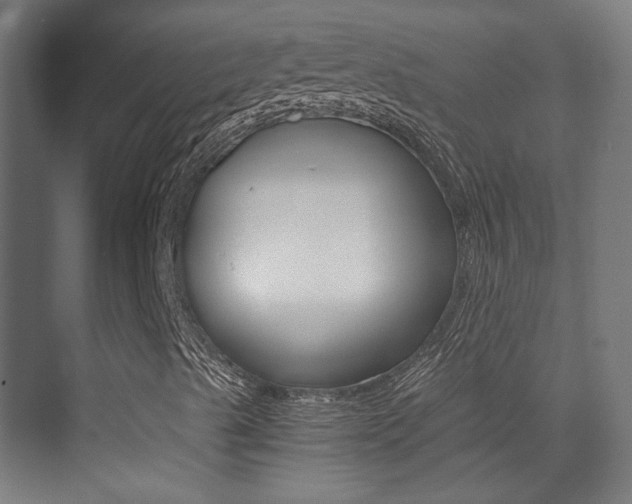 X0000073471489200607281045