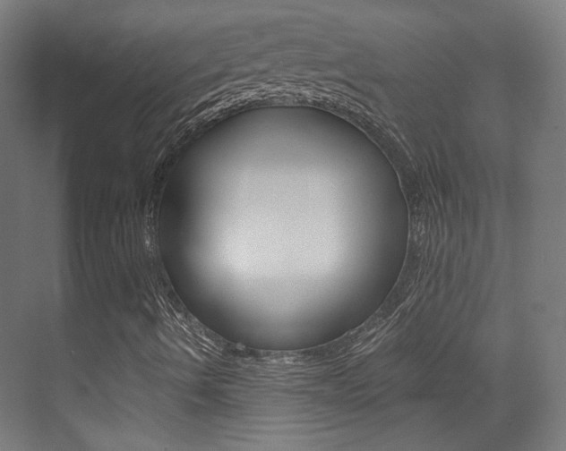 X0000073471490200607281045
