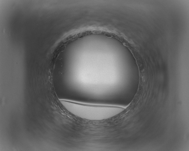 X0000073471495200607281045
