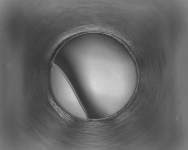 X0000073471499200607281045