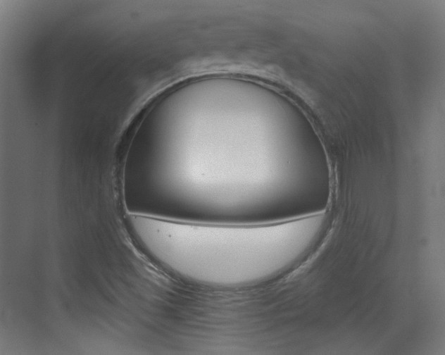 X0000073471501200607281045
