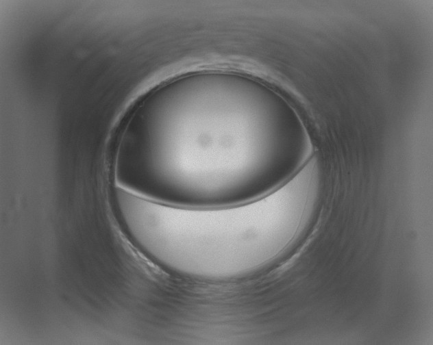 X0000073471506200607281045
