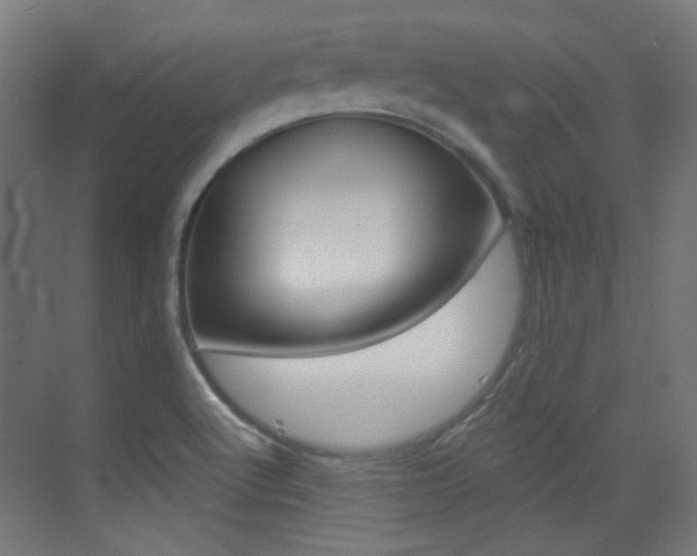 X0000073471512200607281045