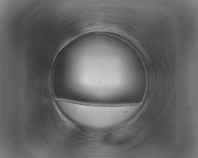 X0000073471513200607281045