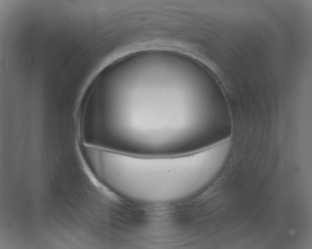 X0000073471515200607281045