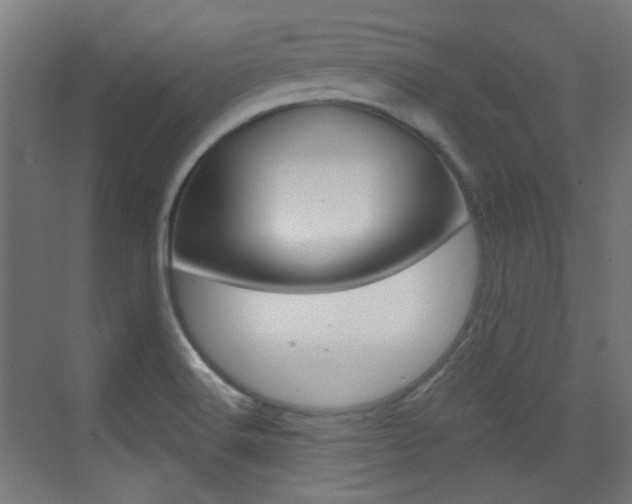 X0000073471516200607281045