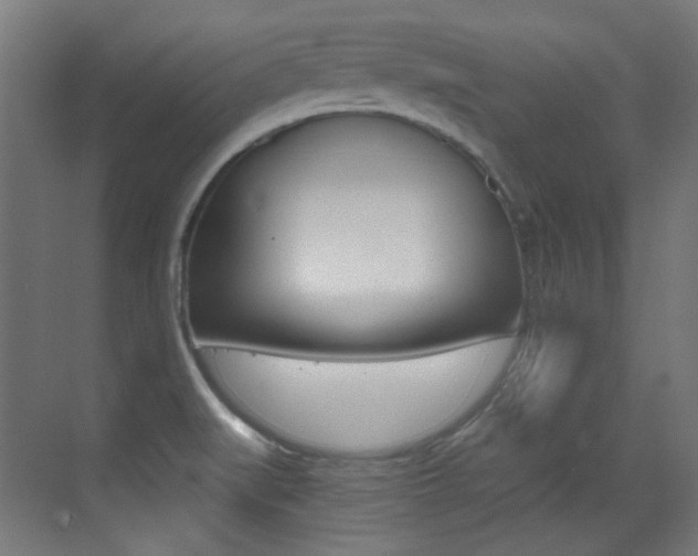 X0000073471519200607281045