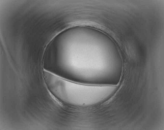 X0000073471521200607281045