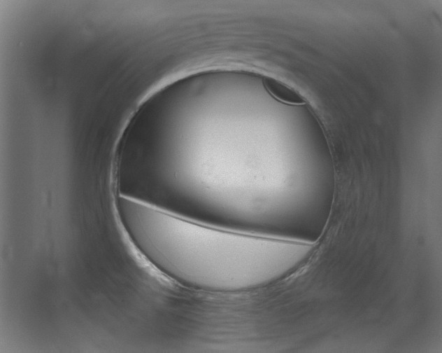 X0000073471526200607281045