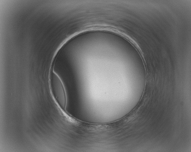 X0000073471533200607281046