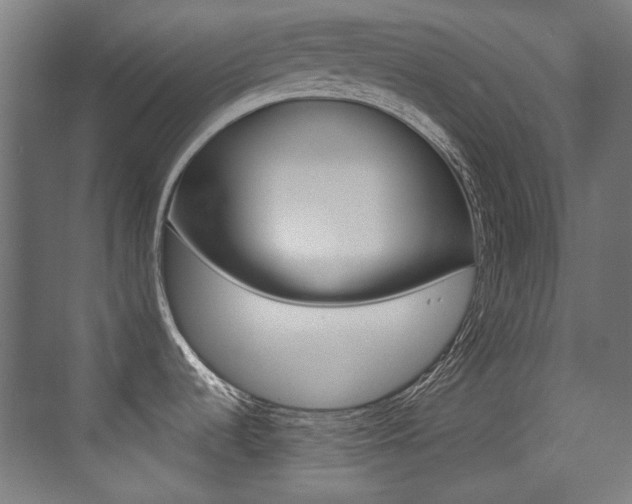 X0000073471536200607281046
