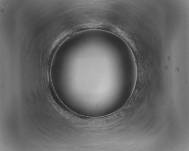X0000073470011200607281254