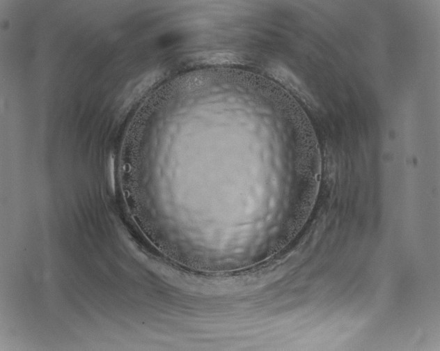 X0000073470014200607281254