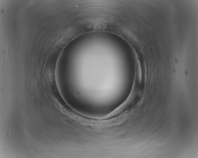 X0000073470039200607281254
