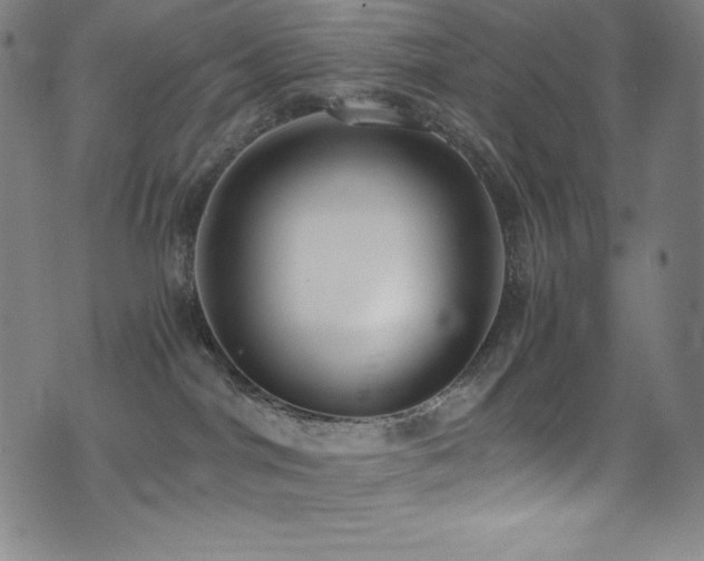 X0000073470044200607281254