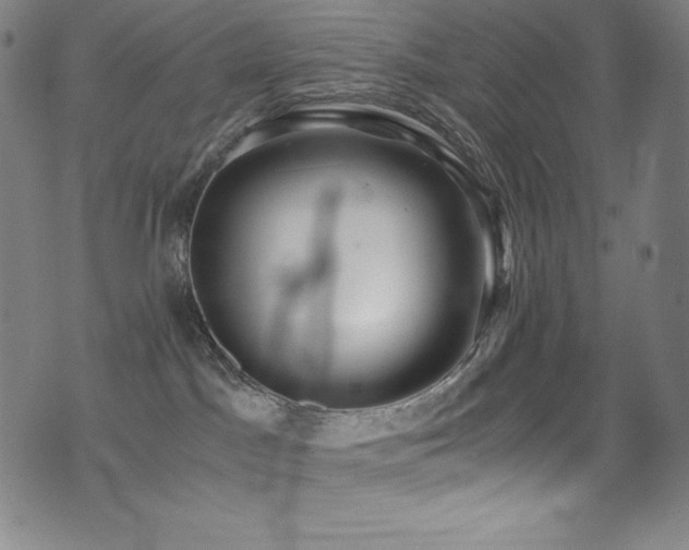 X0000073470045200607281254