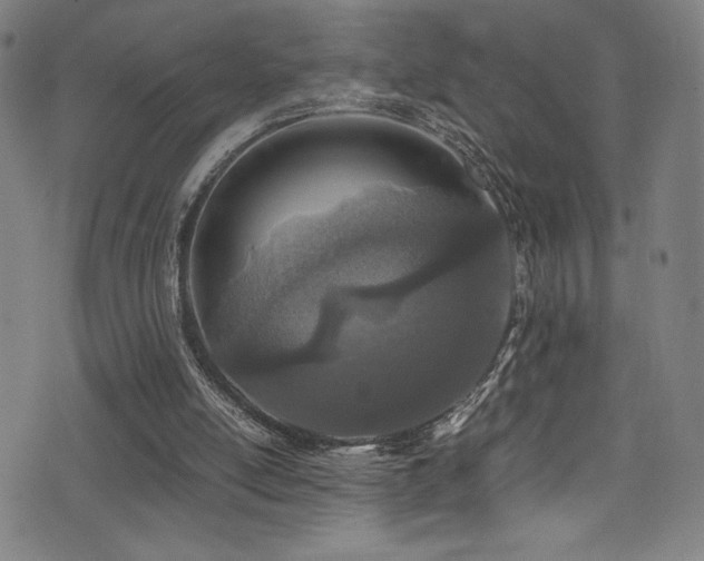 X0000073470054200607281253