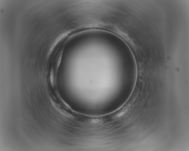 X0000073470060200607281253