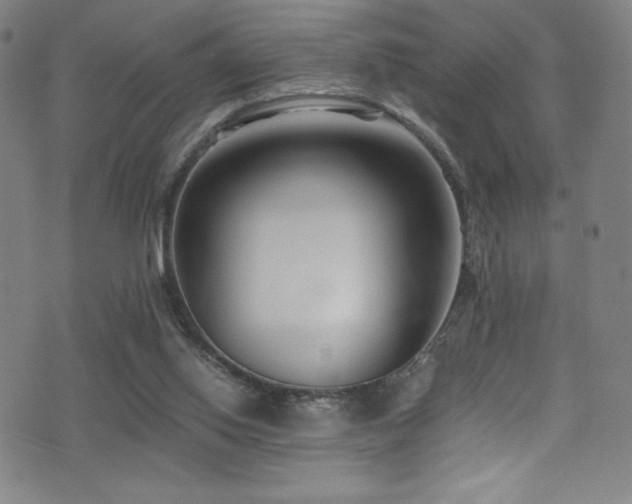 X0000073470062200607281253